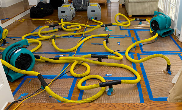 Professional Crawl Space Water Removal technician working in Goodman, MS
